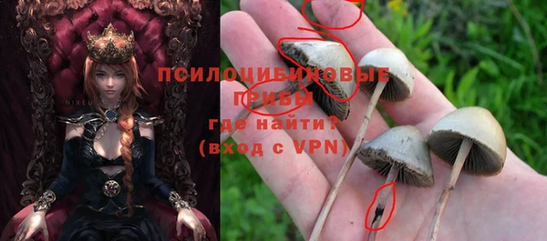 мяу мяу мука Алзамай