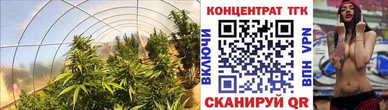 ТГК THC oil  Салехард 