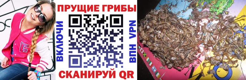 Галлюциногенные грибы ЛСД  Салехард 